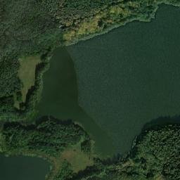 Satelita