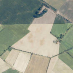 Satelita