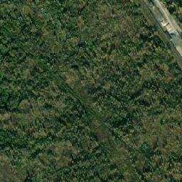 Gorod Bryansk map(satellite map)