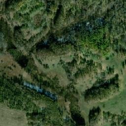 Yel’tsovskiy Rayon map(satellite map)