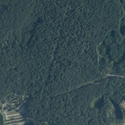 Satelita