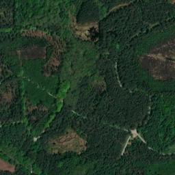 Satellite view of Delamere Forest Golf Club