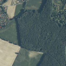 Satelita