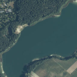 Satelita