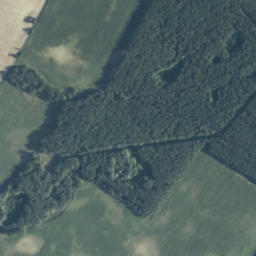 Satelita