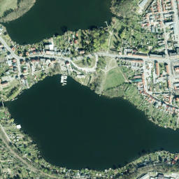 Lychen map(satellite map)