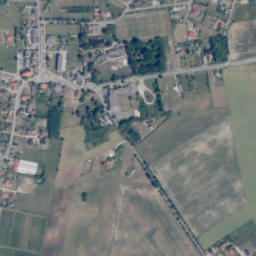 Sicienko map(satellite map)