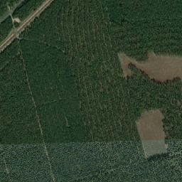 Satelita