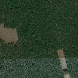 Satelita