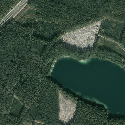 Satelita