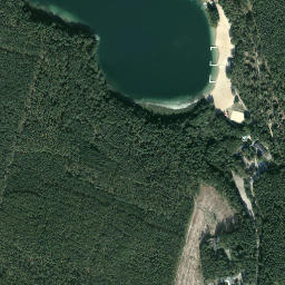 Satelita