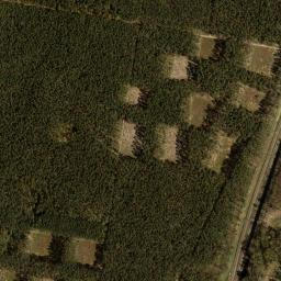 Satellite view of Bydgoski Klub Golfowy