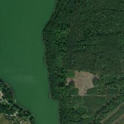 Satelita