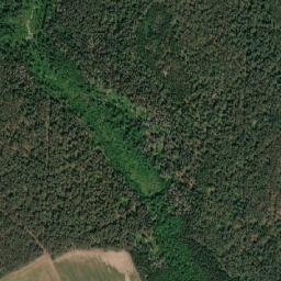 Rahachowski Rayon map(satellite map)