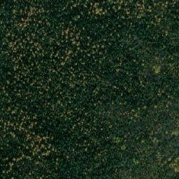 Zalarinskiy Rayon map(satellite map)