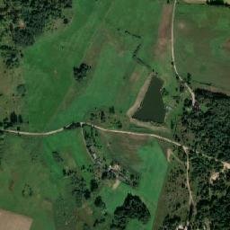 Satelita