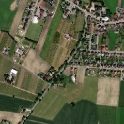 Świedziebnia map(satellite map)