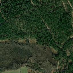 Satelita