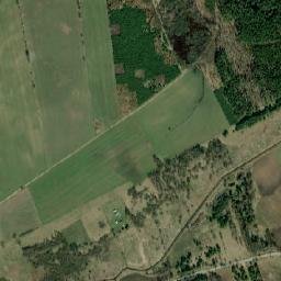Satelita