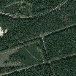 Satelita