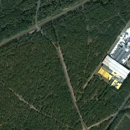 Satelita