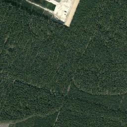 Satelita