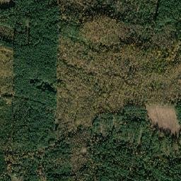 Powiat przasnyski map(satellite map)