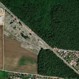 Satelita