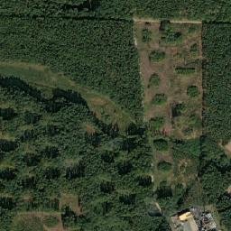 Powiat golubsko-dobrzyński map(satellite map)