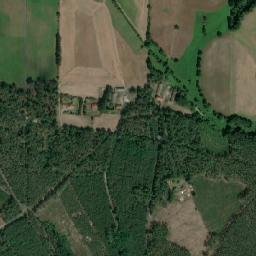 Satelita