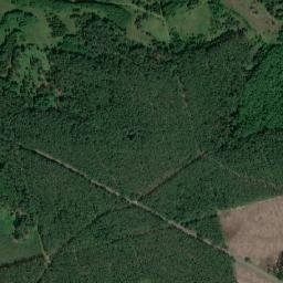 Satelita