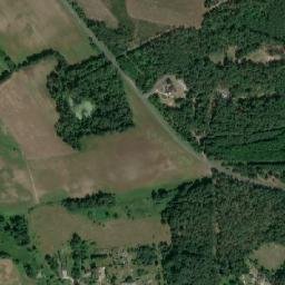 Satelita