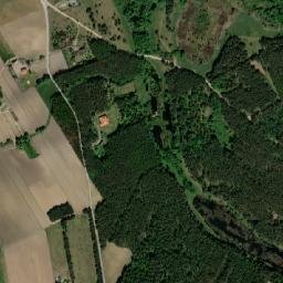 Satelita