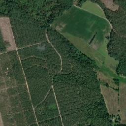 Satelita