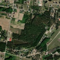 Satelita