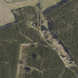 Satelita