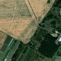 Satelita