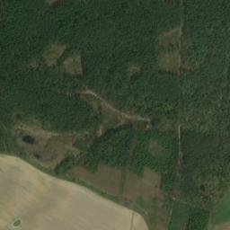 Powiat gryfiński map(satellite map)