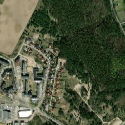 Satelita