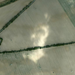Satelita