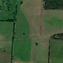 Breese map(satellite map)