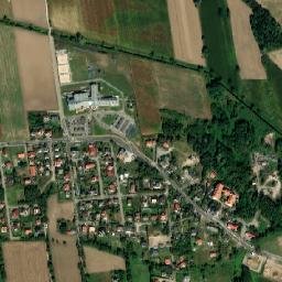 Wielka Nieszawka map(satellite map)