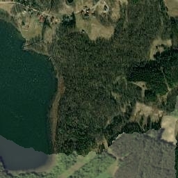Satelita