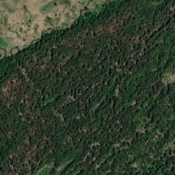 Rebrikhinskiy Rayon map(satellite map)