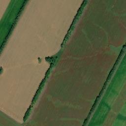 Kalmanskiy Rayon map(satellite map)
