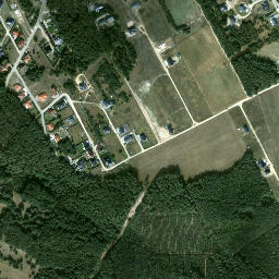 Satelita