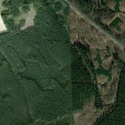 Satelita