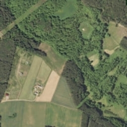 Satelita