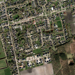 Gasselternijveen map(satellite map)