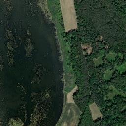 Satelita
